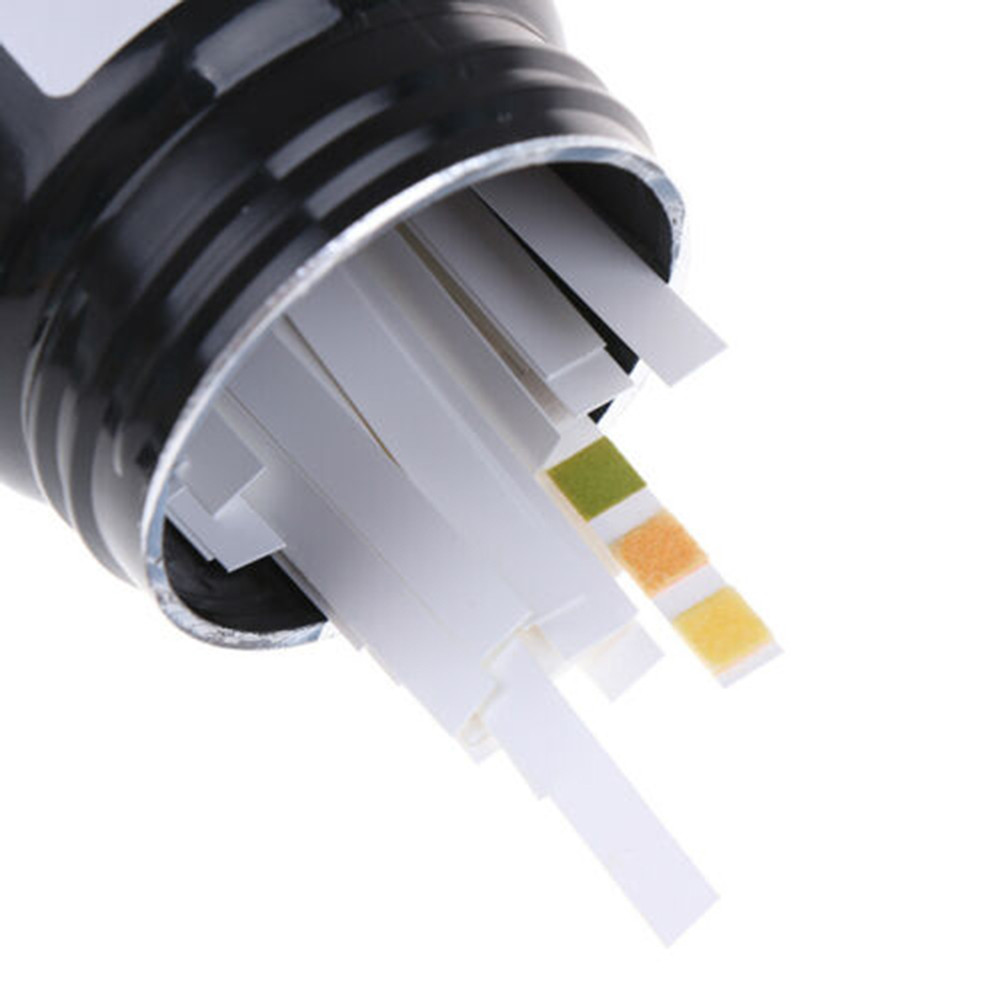 Water Testing Kit - Strisce Reattive Professionali per Test Acqua