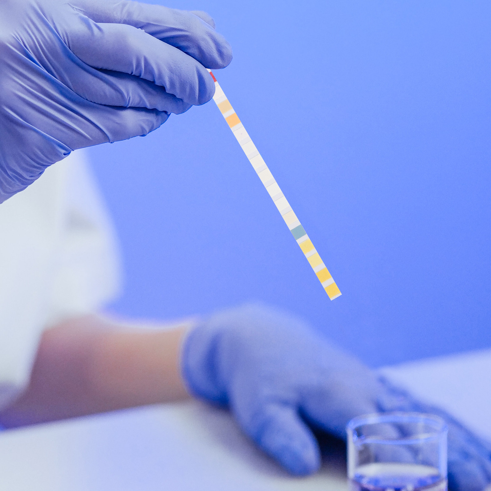 Water Testing Kit - 100 Strisce per Test dell'Acqua Potabile