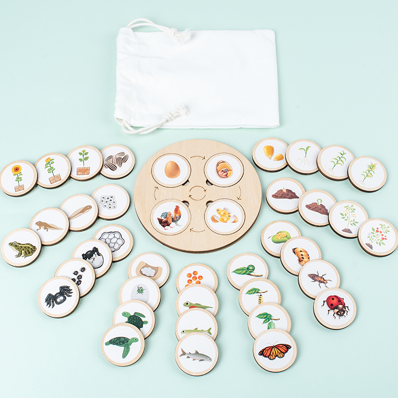 Science Nature - Tavola del ciclo di vita Kit