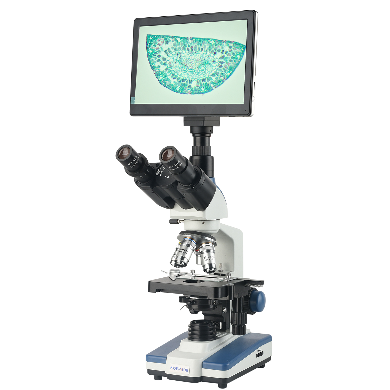 KOPPACE 40X-2500X Microscopio  - Microscope Compound 40X recensione e prezzo