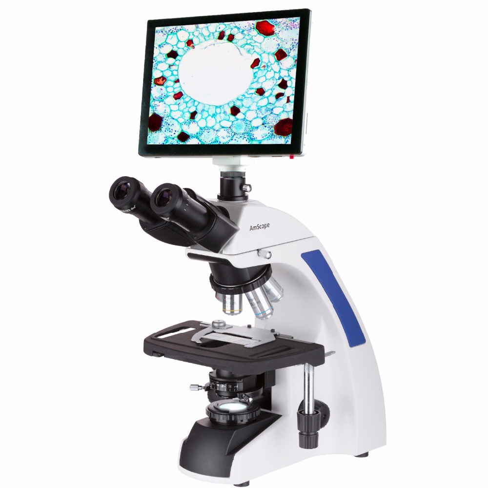 Microscopio Composto Trinocula - Amscope Microscope Compound 40X-1000X recensione e prezzo