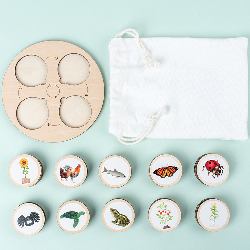Tavola del ciclo di vita Kit M - Science Nature recensione e prezzo