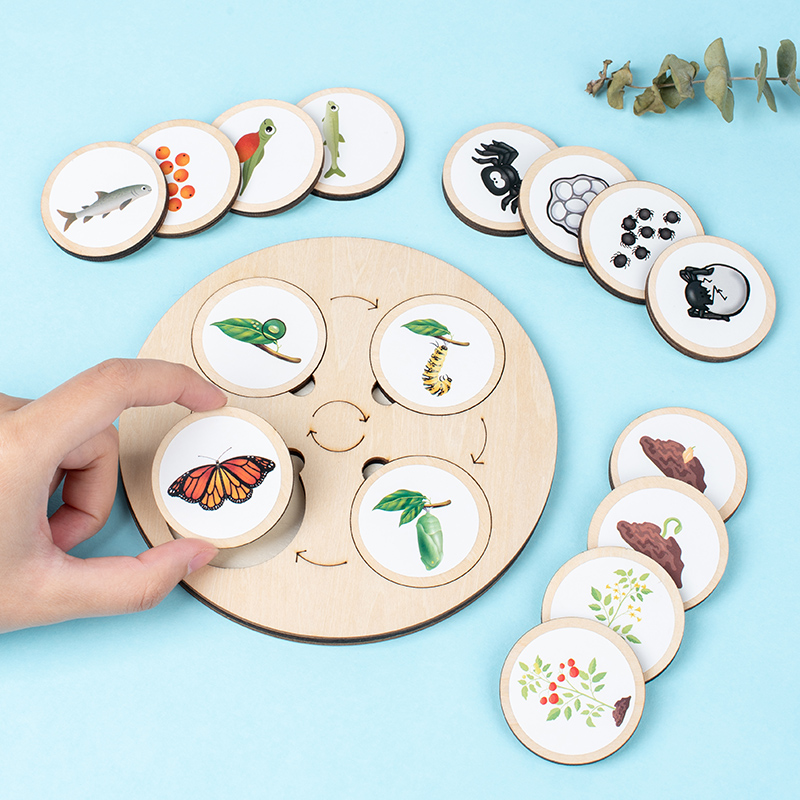 Tavola del ciclo di vita Kit M - Science Nature recensione e prezzo